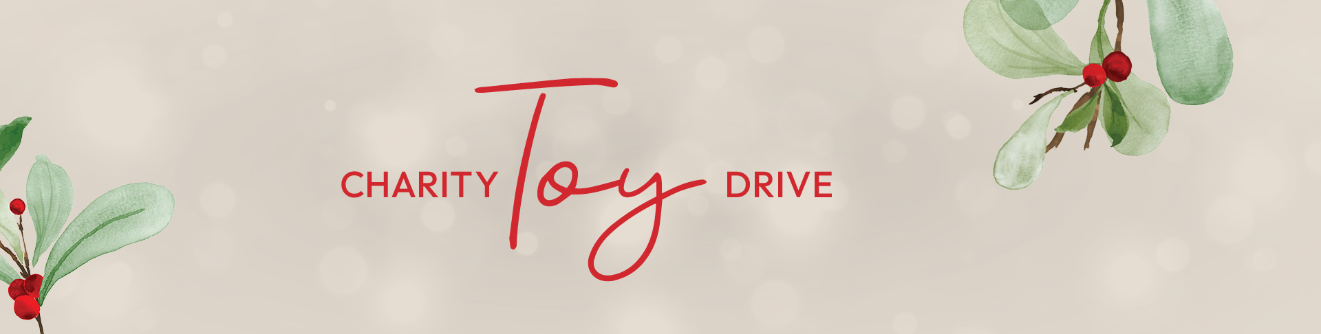 Christmas Toy Drive